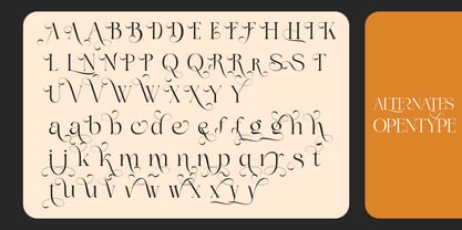 Jewerly Beyon Font Poster 14