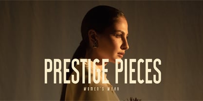 FT Paris Sleek Font Poster 6