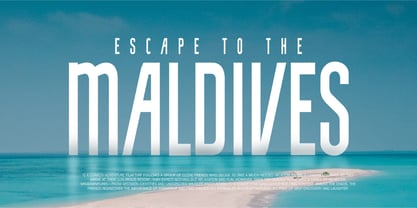 FT Paris Sleek Font Poster 2