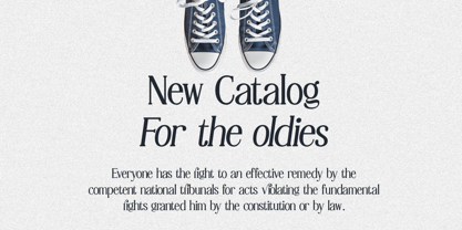 Lilleth Reality Font Poster 8