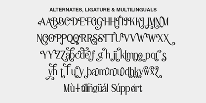 Lilleth Reality Font Poster 10