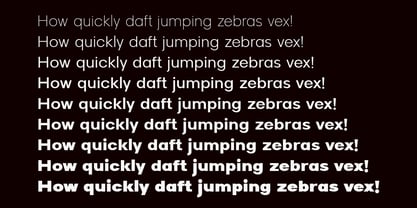 Raela Font Poster 3
