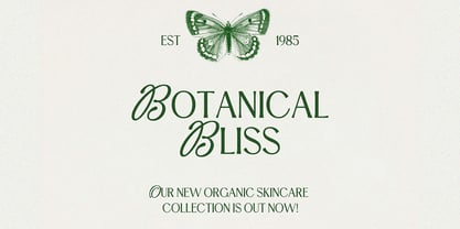 Mystic Royaly Font Poster 7