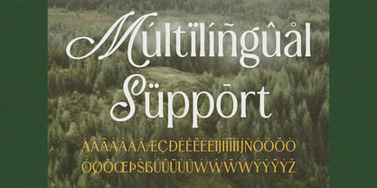 Mystic Royaly Font Poster 15