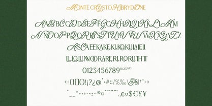 Mystic Royaly Font Poster 13