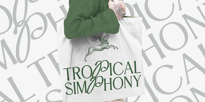 Mystic Royaly Font Poster 3