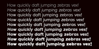 LTS Raela Pro Font Poster 3