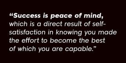 LTS Raela Pro Font Poster 6