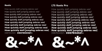LTS Raela Pro Font Poster 10