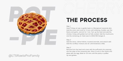 LTS Raela Pro Font Poster 8