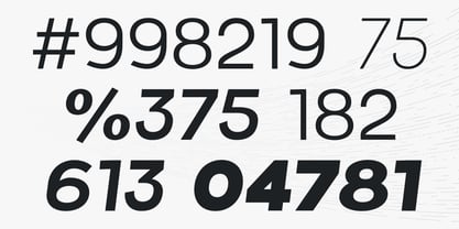 LTS Raela Pro Font Poster 5