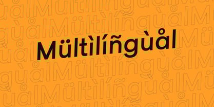 LTS Raela Pro Font Poster 9