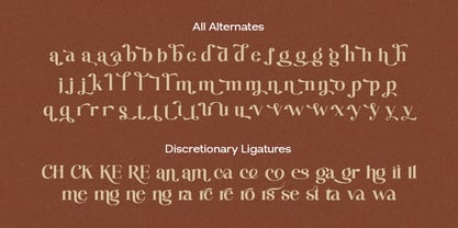 Asyadiga Font Poster 9