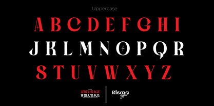 Wreckage Font Poster 4