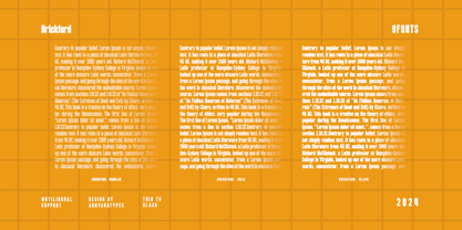 Brickford Font Poster 4