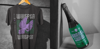 Recoil Backlash Font Poster 12