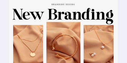 Sophia Ronald Font Poster 3