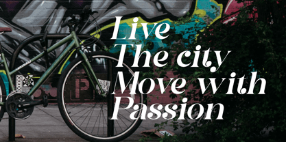 Chan Romance Font Poster 3