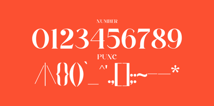 Chan Romance Font Poster 10