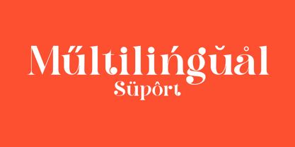 Chan Romance Font Poster 8