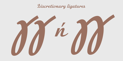Stella Astir Font Poster 10