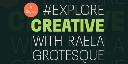 Raela Grotesque Font Poster 5