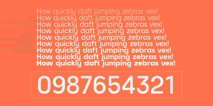 Raela Grotesque Font Poster 9