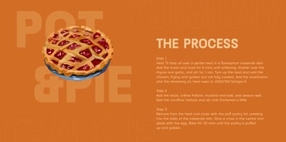 Raela Grotesque Font Poster 10