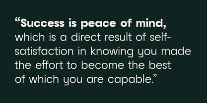 Raela Grotesque Font Poster 8