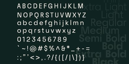 Raela Grotesque Font Poster 6