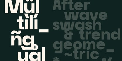 Raela Grotesque Font Poster 4