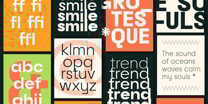 Raela Grotesque Font Poster 3
