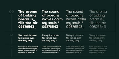 Raela Grotesque Font Poster 7