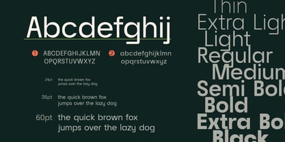 Raela Grotesque Font Poster 2