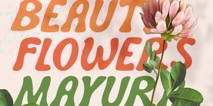 Mayura Font Poster 2
