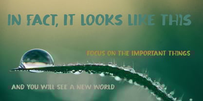 Public Lifestyle Font Poster 5