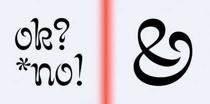 Narri Font Poster 7