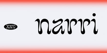 Narri Font Poster 1