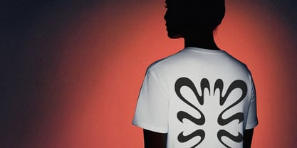 Narri Font Poster 11
