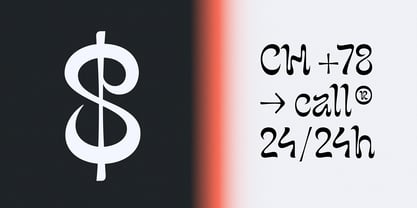 Narri Font Poster 10