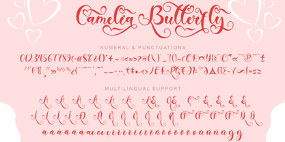 Camelia Butterfly Font Poster 7
