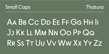 Thatura Font Poster 7