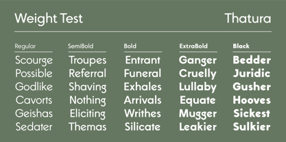 Thatura Font Poster 2