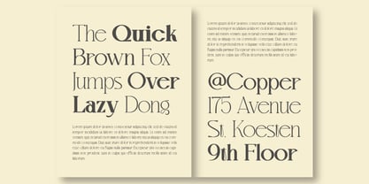Mvoky Font Poster 9