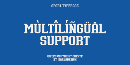 Bullsy College Font Poster 5