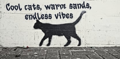 Neo Graft Font Poster 4