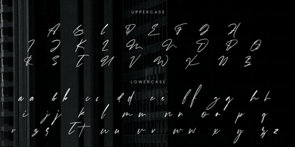 Hidzena Font Poster 9