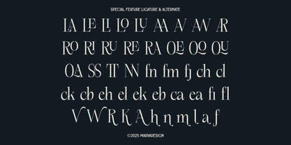Roleka Font Poster 10