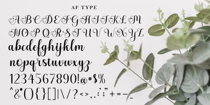 Andeya Font Poster 4