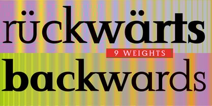 Setura Font Poster 5